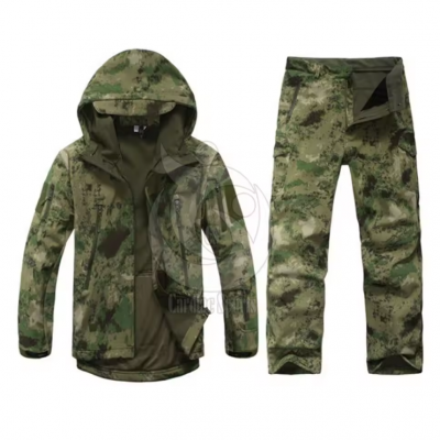 Hooded Jacket and Pant